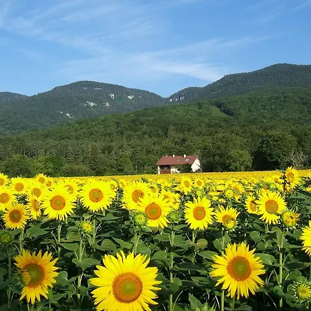 Entredigue Hébergement de vacances